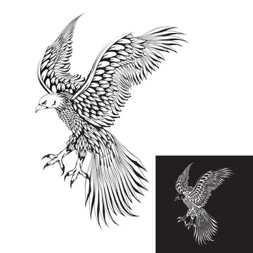 sketch illustration of a flying eagle flapping its wings.
attacks with its claws. side view.