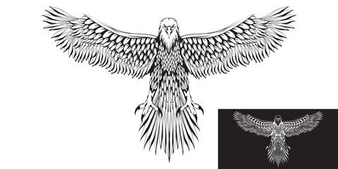 sketch illustration of a standing eagle flapping its wings.