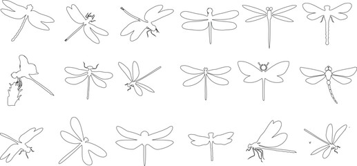 dragonfly Hand drawn,vector illustration of a unique collection of dragonflies. Perfect for modern, minimal designs, patterns. Each dragonfly showcases a different wing pattern and body shape