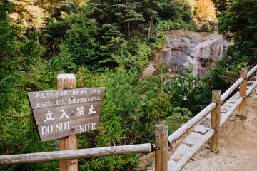 Forest scenery along the Mount Misen hike walking track, Miyajima (Itsukushima), Japan.