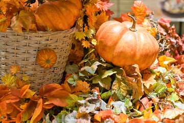 ハロウィン　背景素材