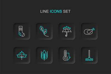 Set line Garden rake, Thermometer, Wheat, Canadian maple leaf, Roasted turkey or chicken, Umbrella and rain drops, Leaf and Socks icon. Vector - obrazy, fototapety, plakaty