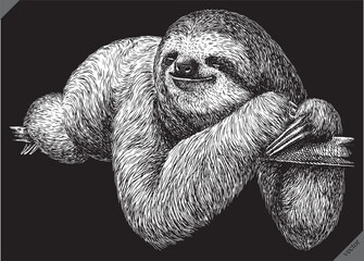 black and white engrave isolated sloth vector illustration © Turaev