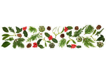 Traditional Christmas winter holly mistletoe greenery banner on white, Festive natural design for the holiday season. 