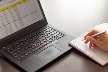 Shot of a woman working on the laptop showing an excel sheet on the screen with bank loan...