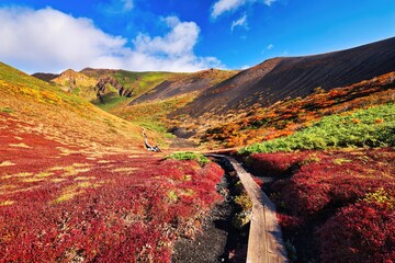 ムーミン谷と呼ばれる秋田駒ヶ岳の紅葉