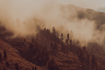 Mountain landscape on foggy morning