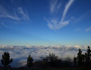 Sunset seen from the mountain with trees in the foreground, sea of clouds and splendid blue sky