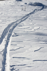 ski tracks in the fresh snow - obrazy, fototapety, plakaty
