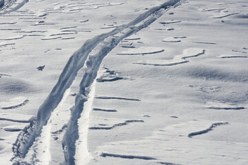 ski tracks in the fresh snow - obrazy, fototapety, plakaty
