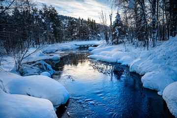 river in winter forest