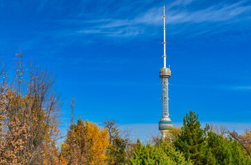 Fototapeta premium Tashkent TV tower scenic view from Bozsuv canal (Tashkent, Uzbekistan)