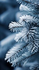 Macro photography of spruce branches.