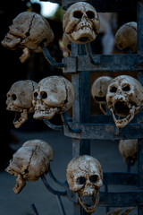 fake human skulls hanging on hooks , halloween ,horror .