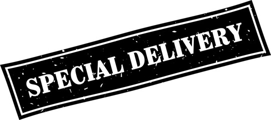 Special delivery square grunge rubber stamp