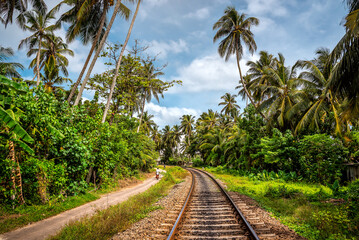 Railway going through tropical forest, palm trees