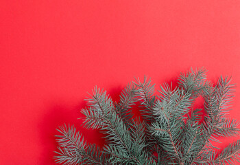 green fir branches on red christmas background
