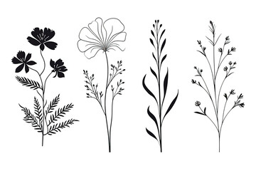 Set of floral elements. Romantic flower collection with flowers, twigs, leaves, herbs and berries. Vector design isolated on white background