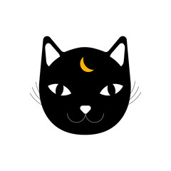 Smiling mysterious cat with a moon eye.