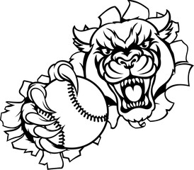 A panther cougar or jaguar cat animal sports mascot holding baseball or softball ball breaking through the background with its claws