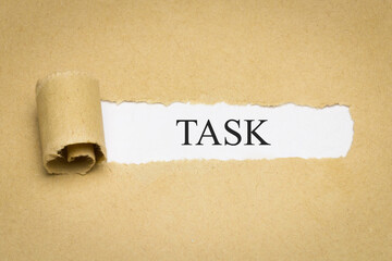 Task