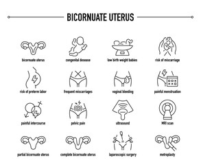 Bicornuate Uterus symptoms, diagnostic and treatment vector icons. Line editable medical icons.