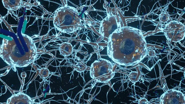 neuron or nerve cell is an electrically excitable cell. It communicates with other cells via synapses 3d rendered	