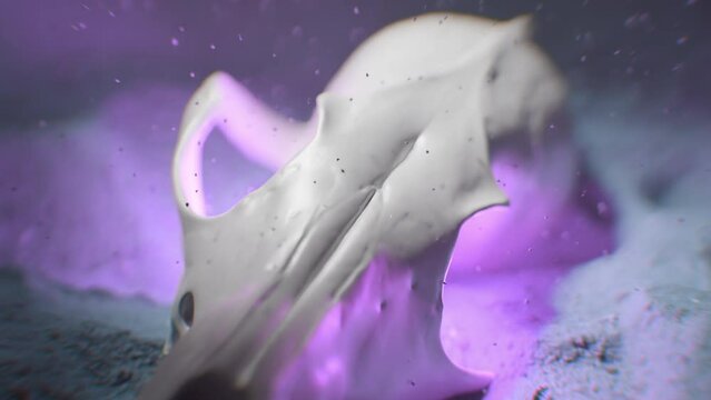 Close up of an animal glowing skull in sand underwater in purple