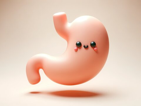 3D render of a cute human stomach, stylized with soft textures, pastel colors, and a slightly cartoonish appearance. The stomach stands against a neutral background.
