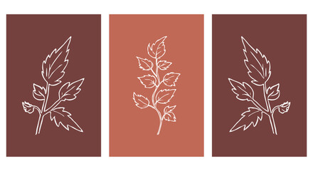Fototapeta na wymiar Set of 3 botanical pattern for printing on wall decorations in a contemporary style. For use in graphics, materials, covers, invitations, Happy Birthday cards. Leaves 
