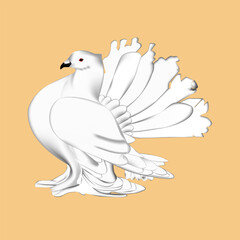 pigeon vector design