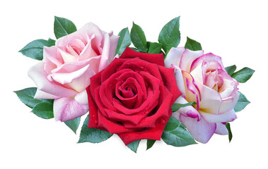 Red and pink rose flowers bouquet for wedding or greeting card isolated on transparent background
