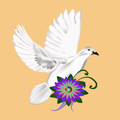 pigeon vector design