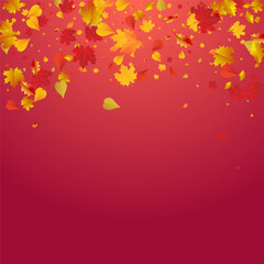 Orange Floral Vector Red Background. Realistic