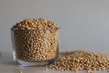 Closeup of sorghum millet grains kept in a glass bowl filled to the brim