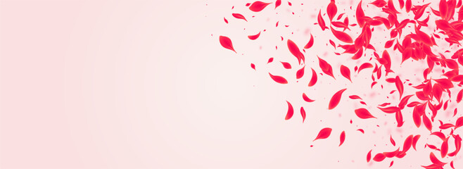 Ruby Cherry Vector Pink Panoramic Background.