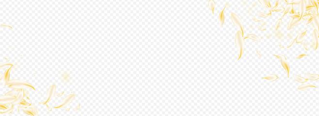 Obraz premium Delicate Blossom Fly Vector Panoramic Transparent