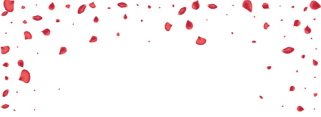 Pink Lotus Japanese Vector Panoramic White