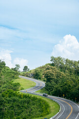path, road, mountain, natural green