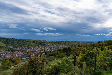 Fototapeta na wymiar View from the mountain to vineyards.