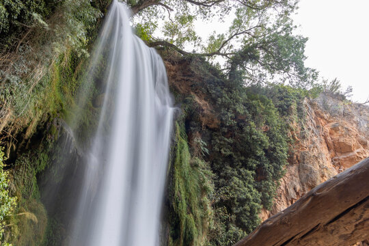 cascada natural en un bosque