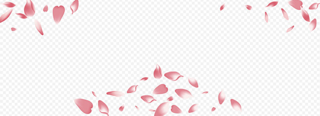 Pink Peach Vector Panoramic Transparent