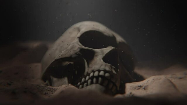 A skull in sand underwater