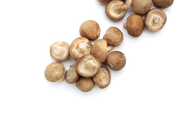 Fresh shiitake mushrooms on white background.