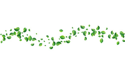 Green Leaf Fly Vector White Background. Organic - obrazy, fototapety, plakaty