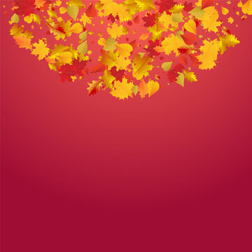 Yellow Leaves Vector Red Background. Abstract