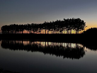 Obraz premium Forest reflected in the sunset sea
