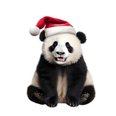 Panda wearing a christmas hat isolated on transparent background