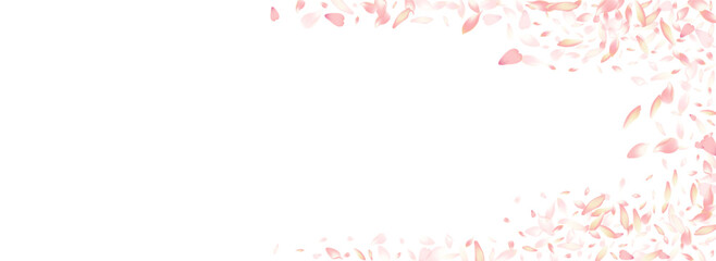 Pink Cherry Petal Vector White Background. Color