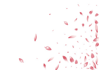 Transparent Apple Petal Vector White Background.